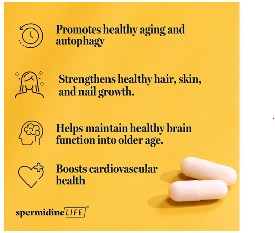 spermidineLIFE®  60 Capsules
