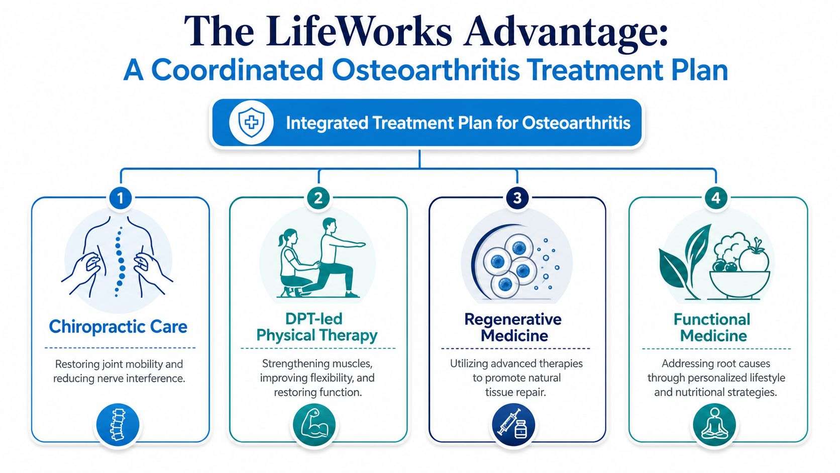 A diagram outlining the lifeworks coordinated osteoarthritis treatment plan featuring four integrated medical approaches.